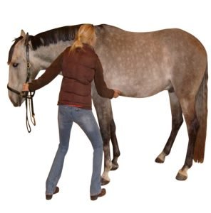 abdominal-lift