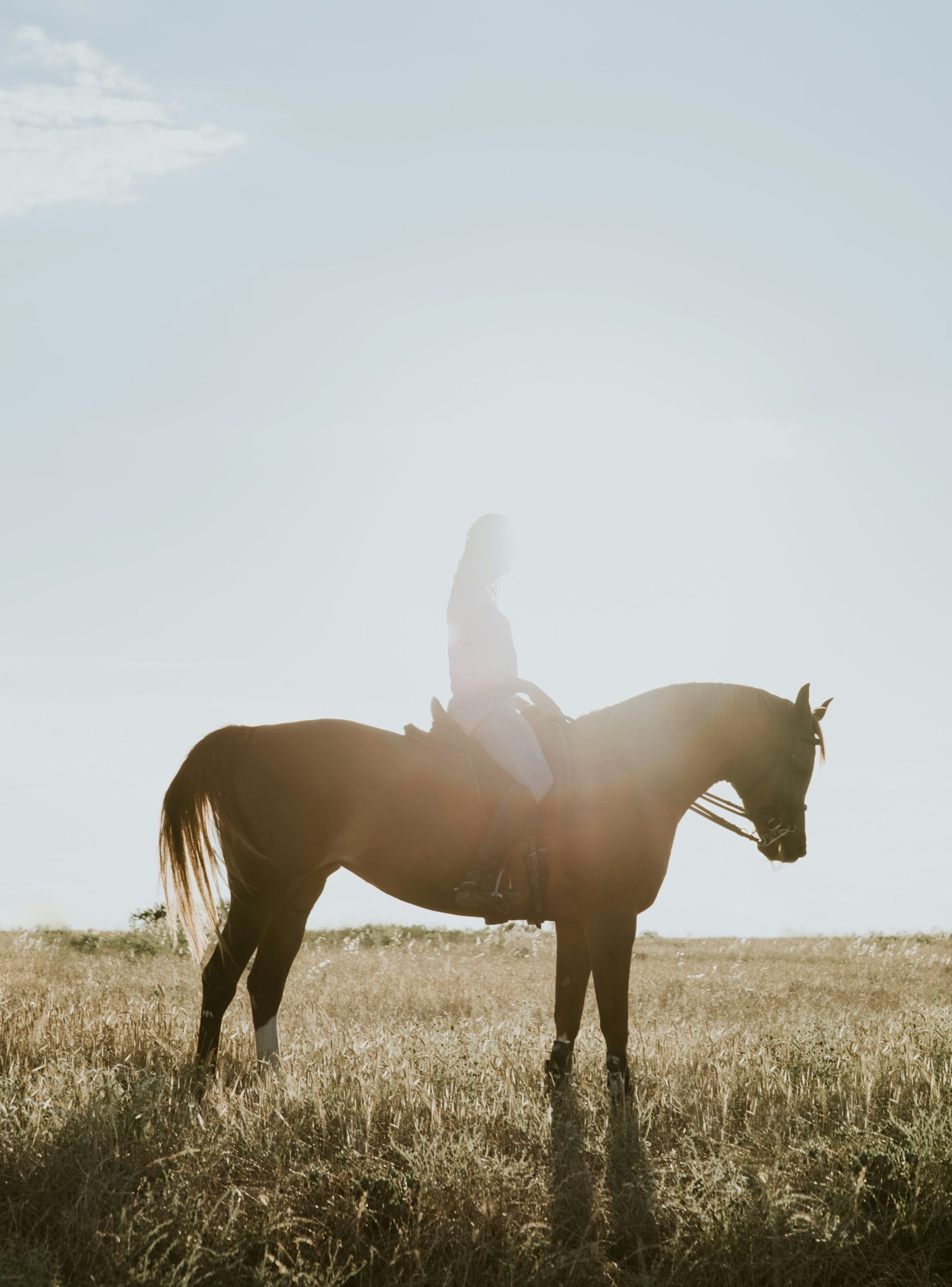10 Fresh Ideas for Enjoying Your Horse This Summer