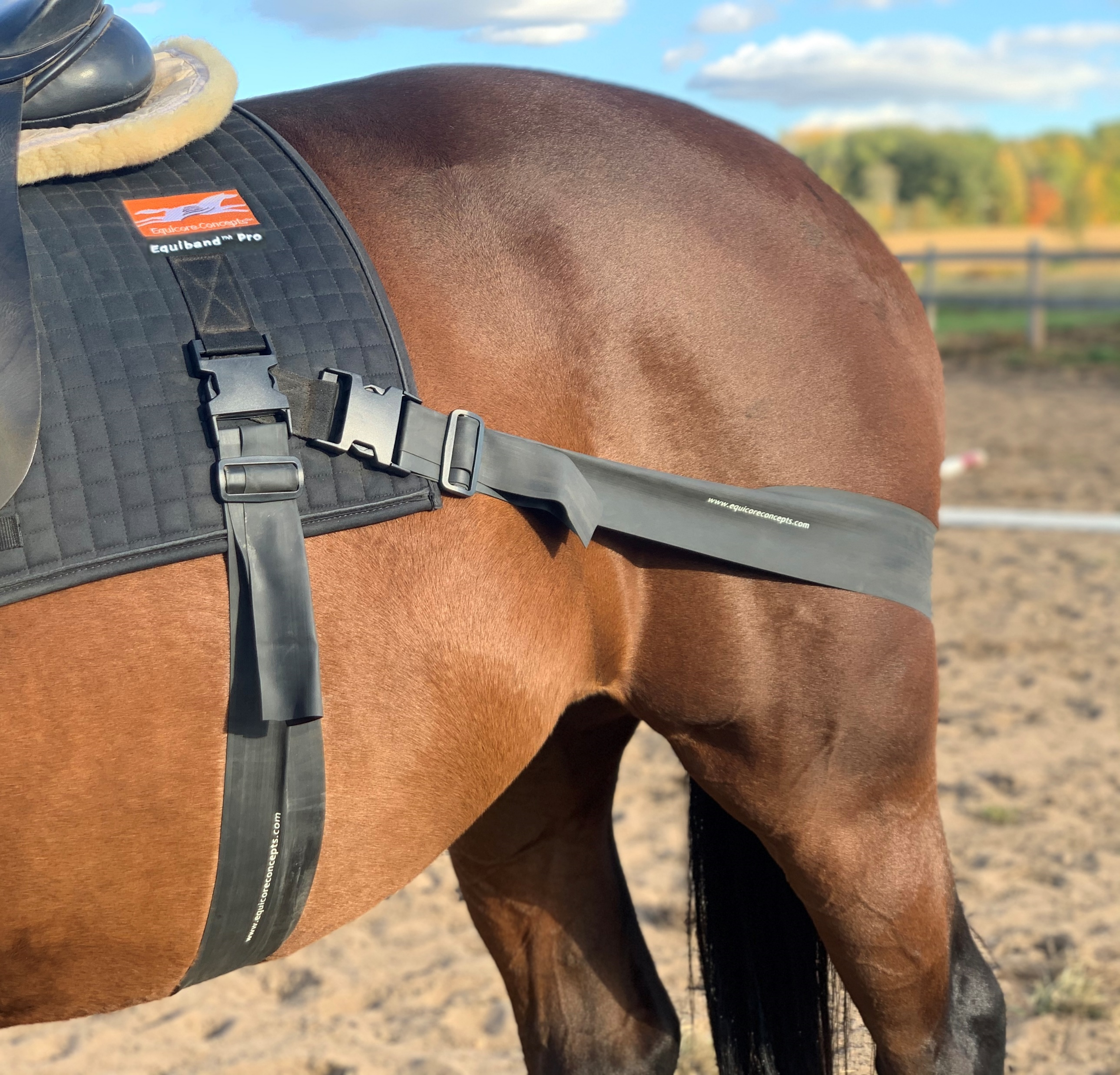 The Equiband Pro System Fitting Guide